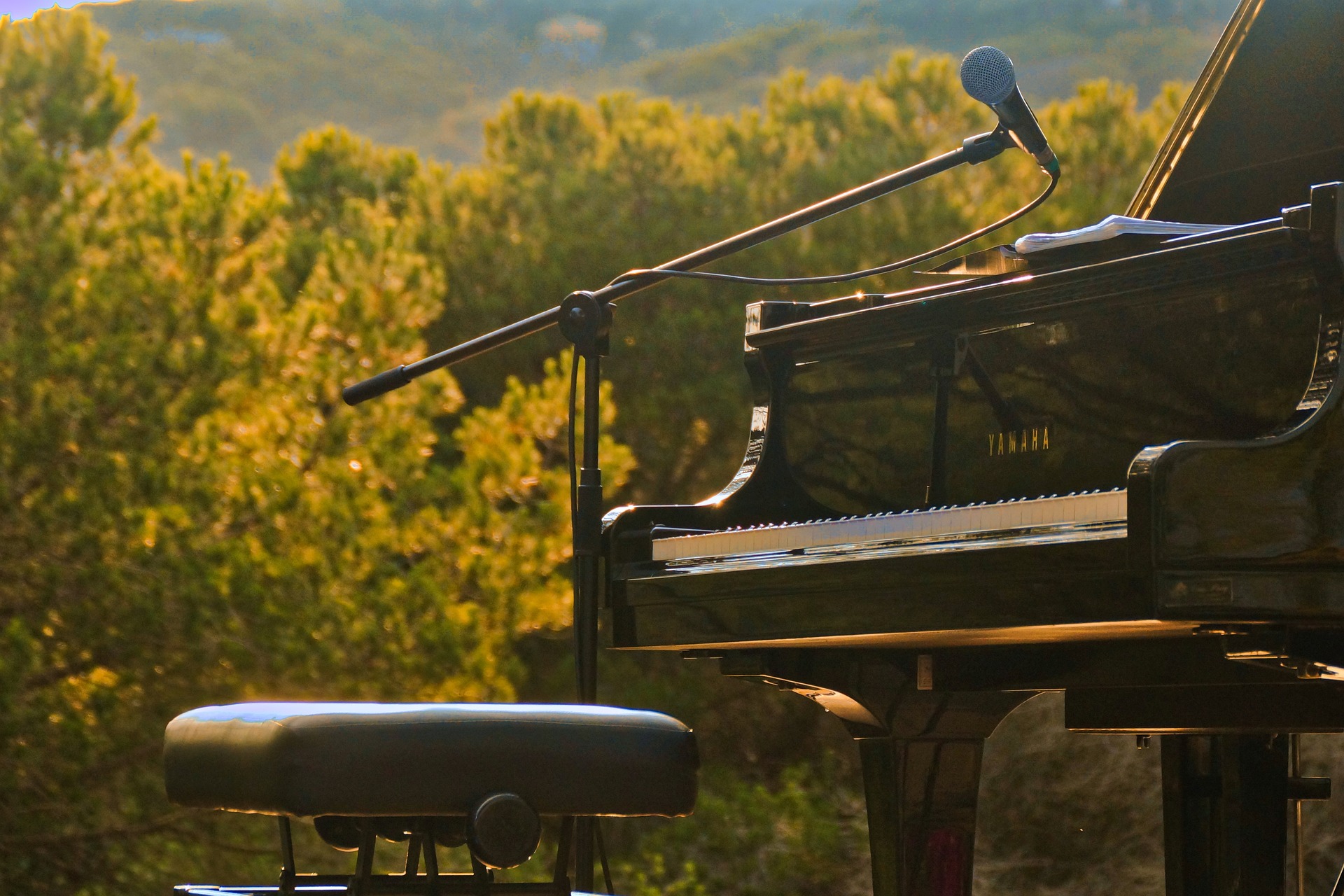 Image d'un piano, arbres au second plan.
