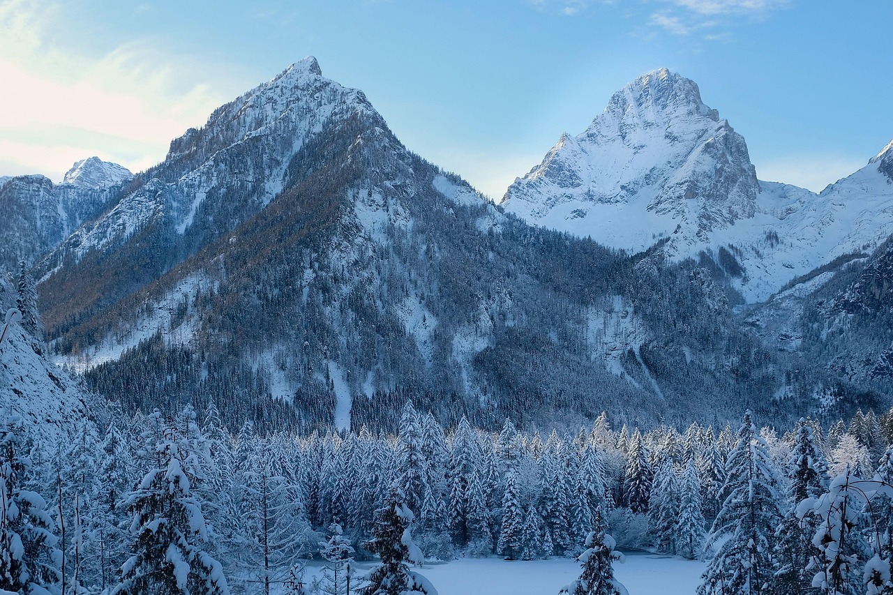 image paysage d'hiver