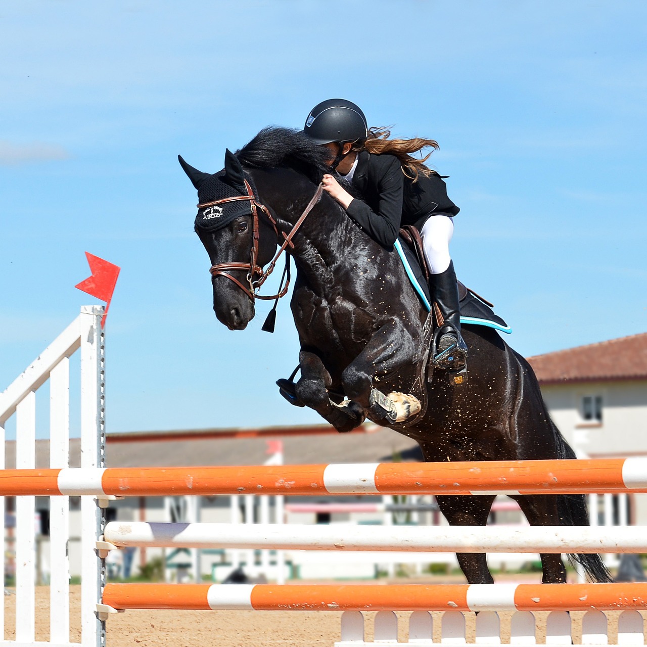 image d'équitation...